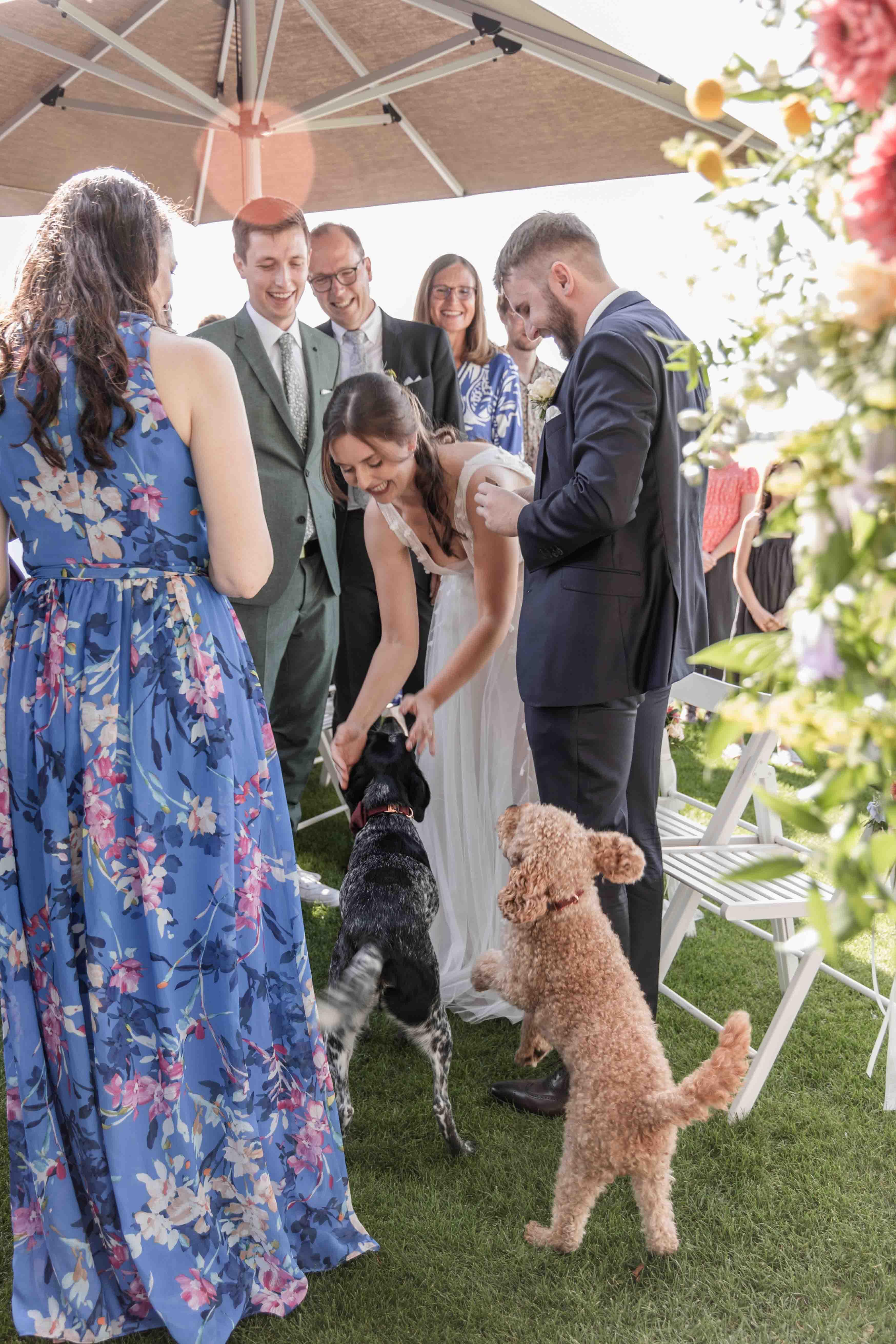 Hochzeitsfoto nach der freien Trauung beim beglückwünschen des Brautpaars durch die Gäste und deren Hunden
