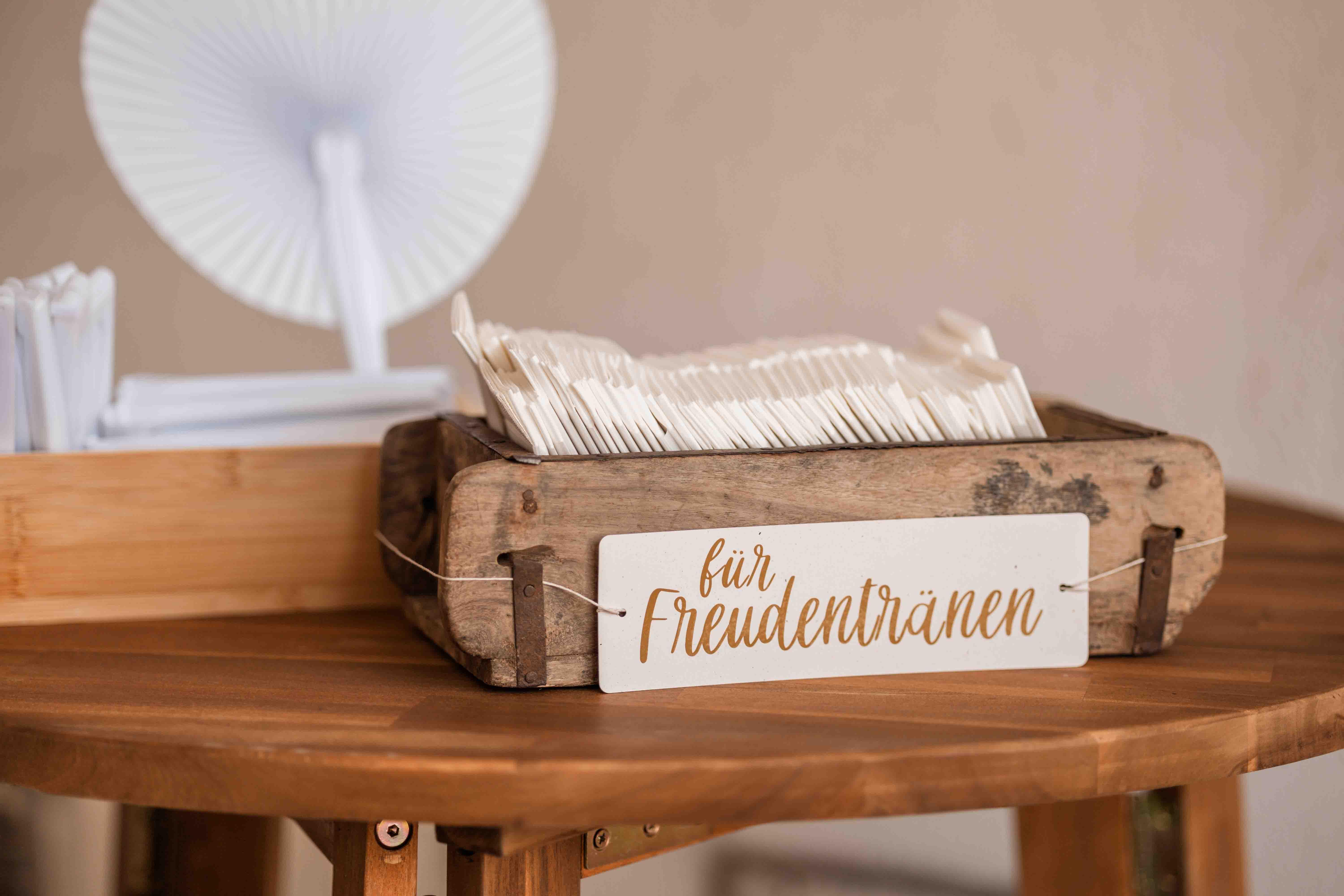 Hochzeitspaar Bokeria Mannheim - Fotografie und Videografie - Julie Weddings