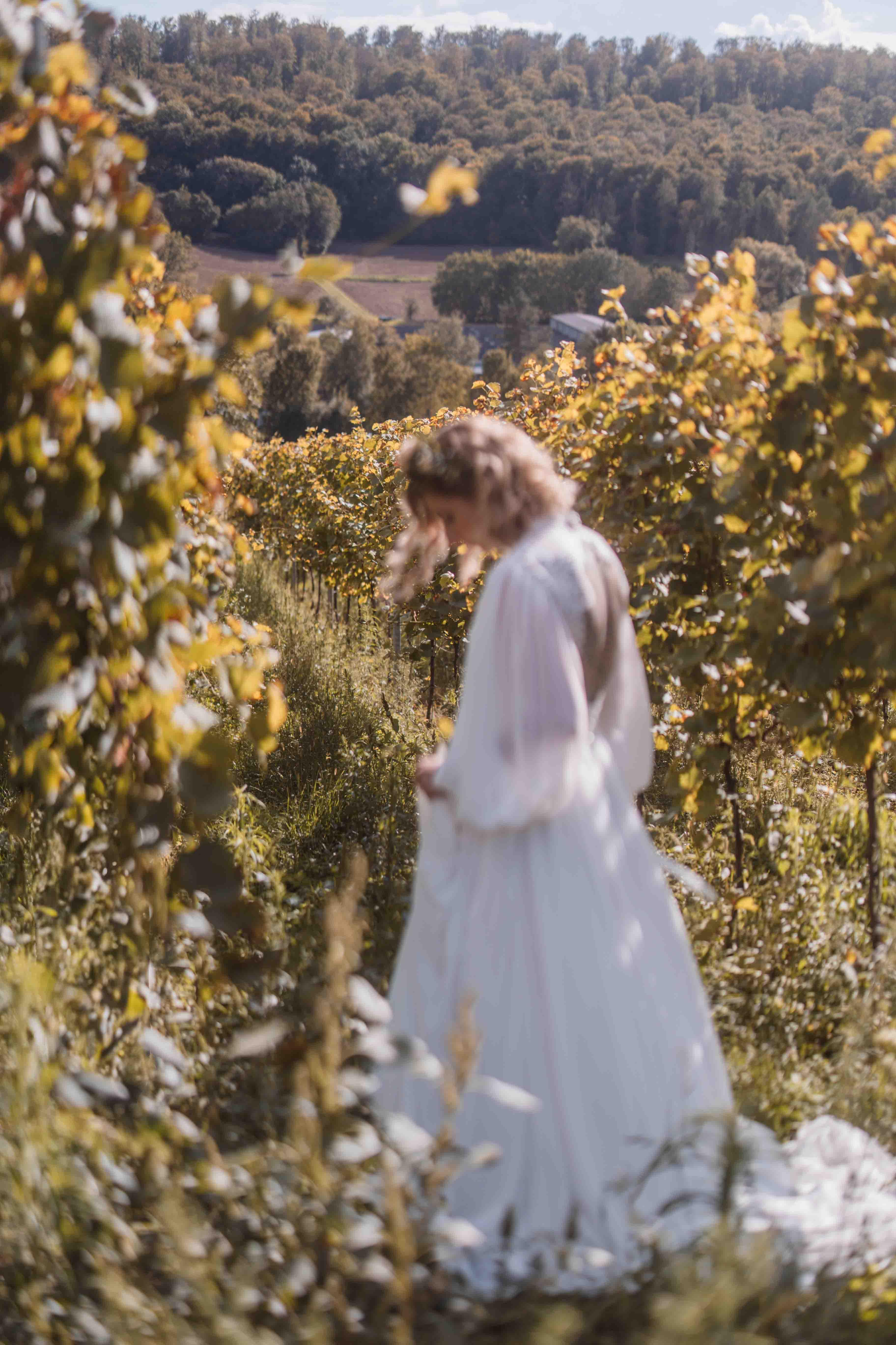 Hochzeitsfoto der Braut zwischen Weinreben in der Natur