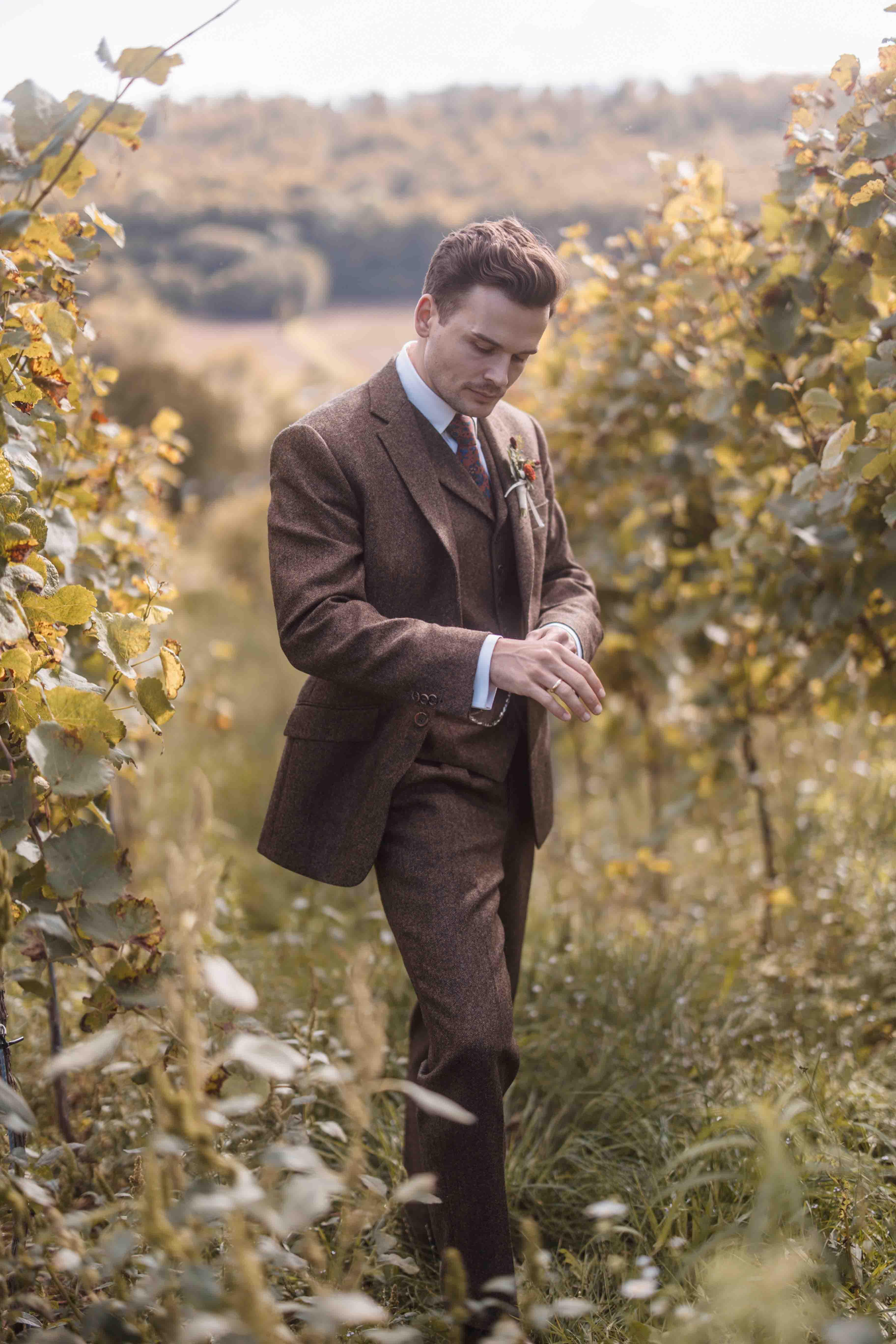 Hochzeitsfoto des Bräutigams zwischen Weinreben in der Natur