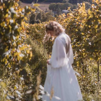 Hochzeitsfoto der Braut zwischen Weinreben in der Natur